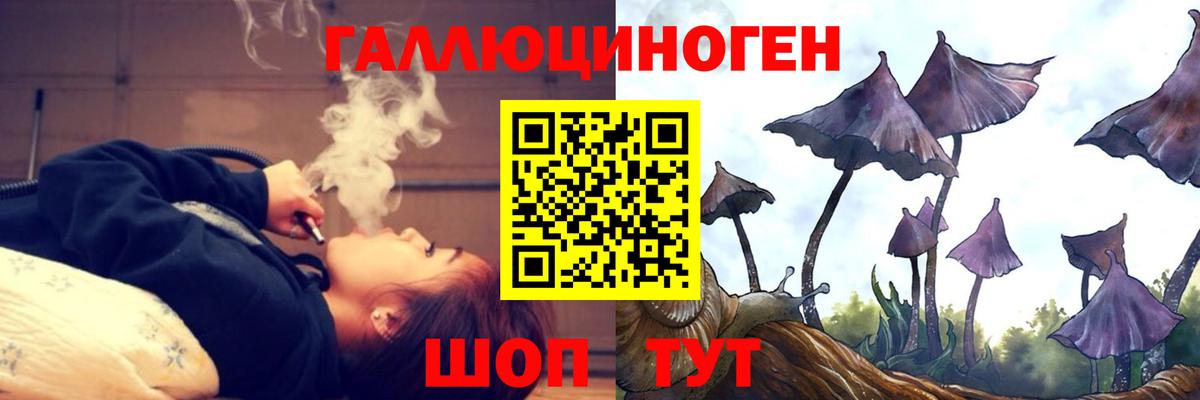 Псилоцибиновые грибы GOLDEN TEACHER Моздок